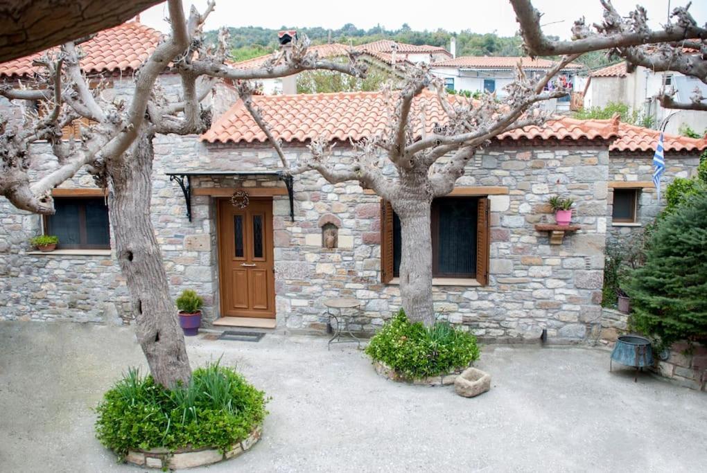 Appartement "The Stone" à Agios Vlasios  Extérieur photo