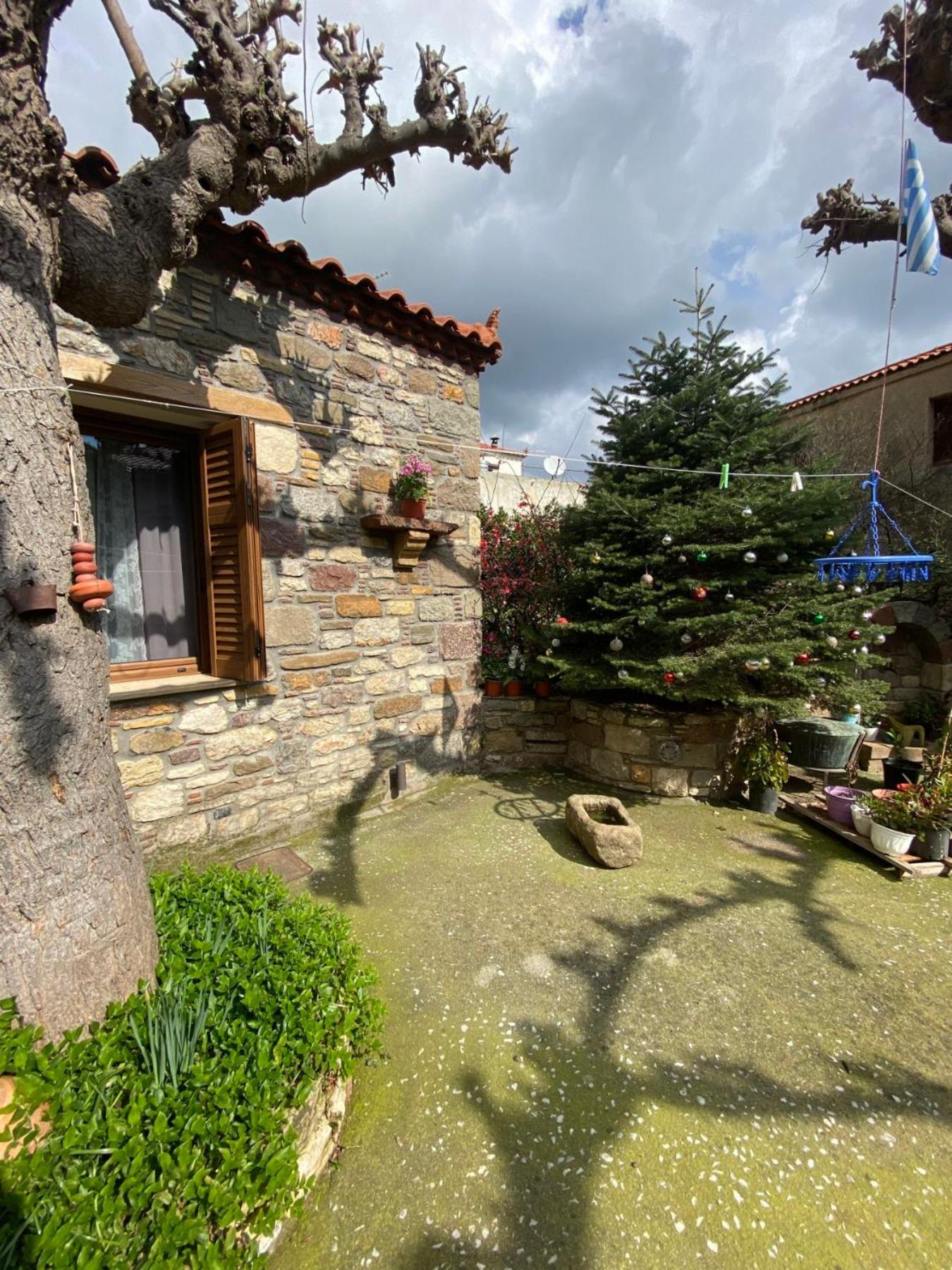 Appartement "The Stone" à Agios Vlasios  Extérieur photo